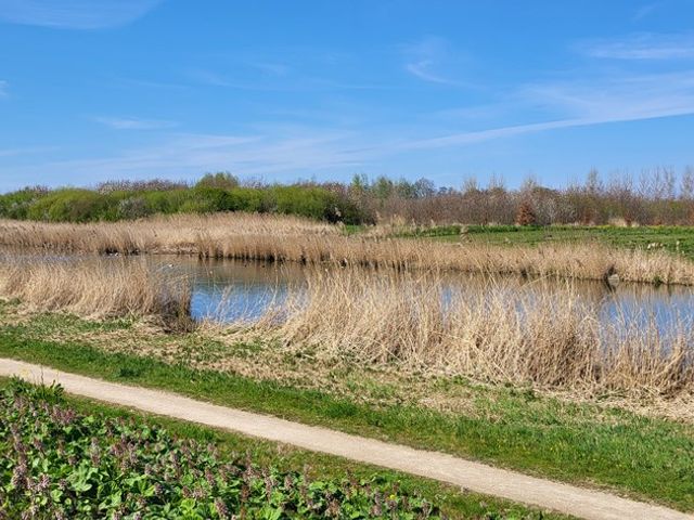 Lindeweg 122, Zwijndrecht