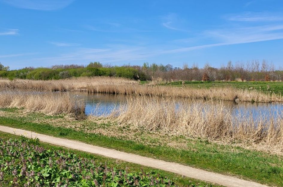 Lindeweg 122