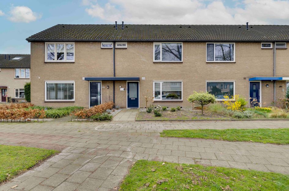 Maassingel 44