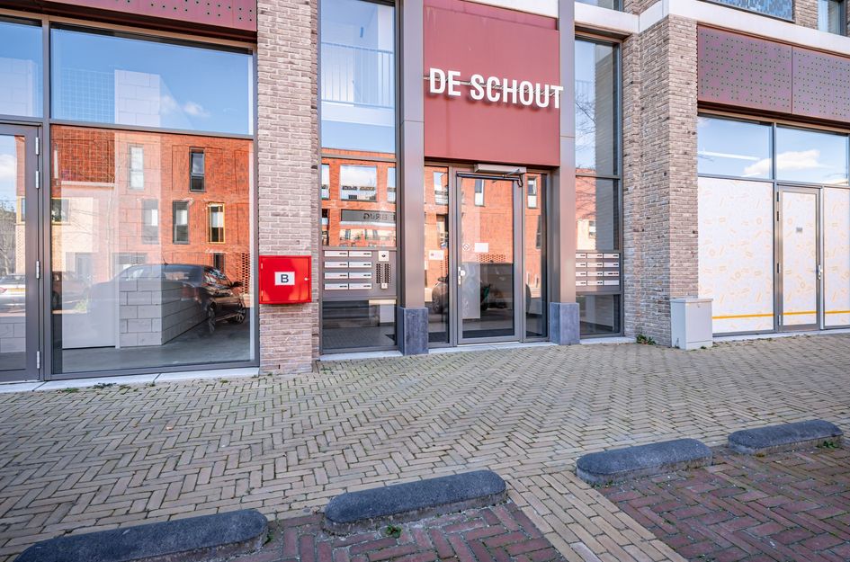 De Boei 36