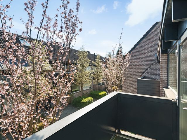 'T Grachtje Over 30, Hoorn Nh
