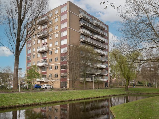 Grote Beer 25, Amstelveen