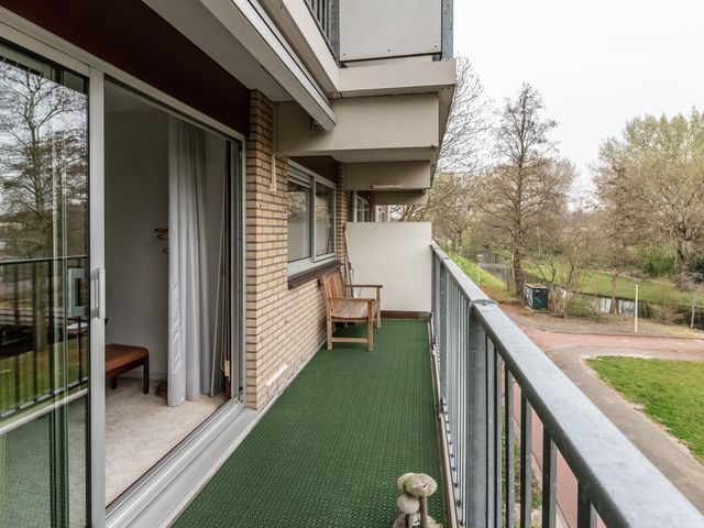 Grote Beer 25, Amstelveen