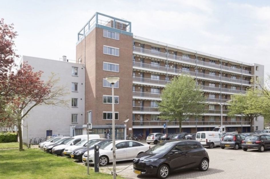 Lijsterstraat 
