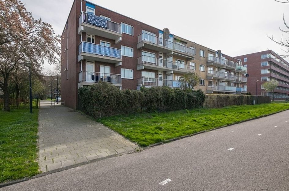 Rosa Manusstraat 
