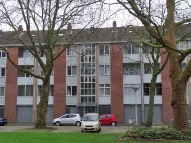 Grote Ruwenberg , Amsterdam