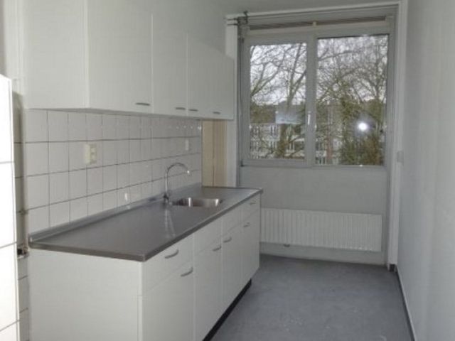 Grote Ruwenberg , Amsterdam