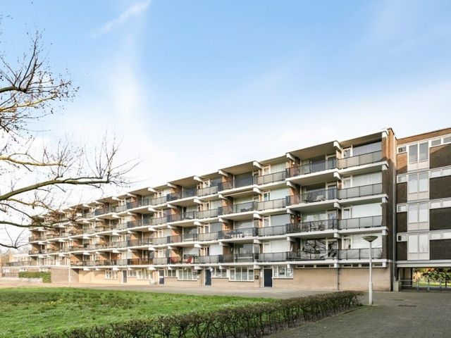 Loplein , Arnhem