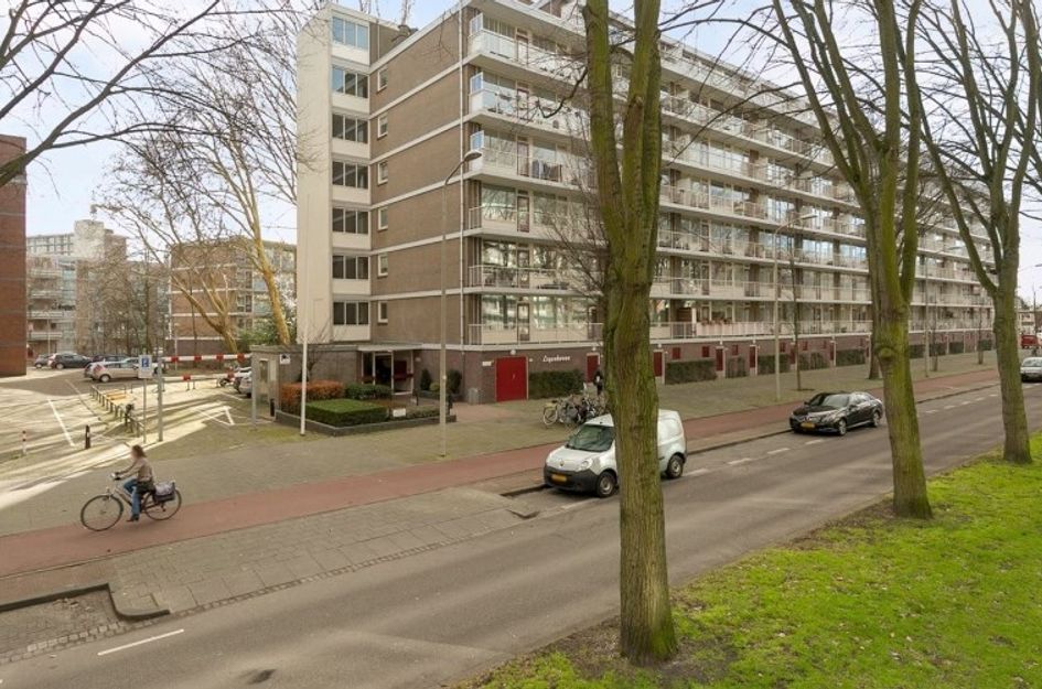 Volendamlaan 