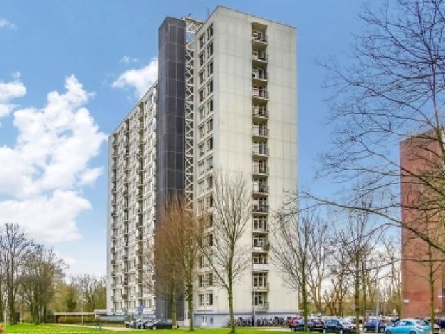 Van Leeuwenhoekstraat , Haarlem