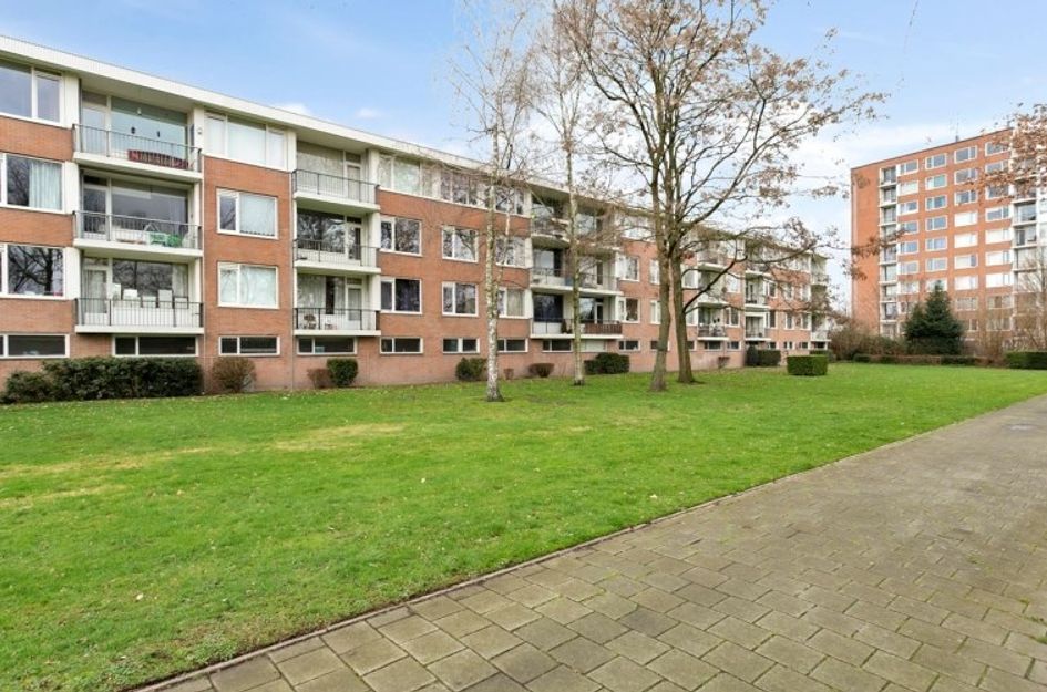 Pisanostraat 