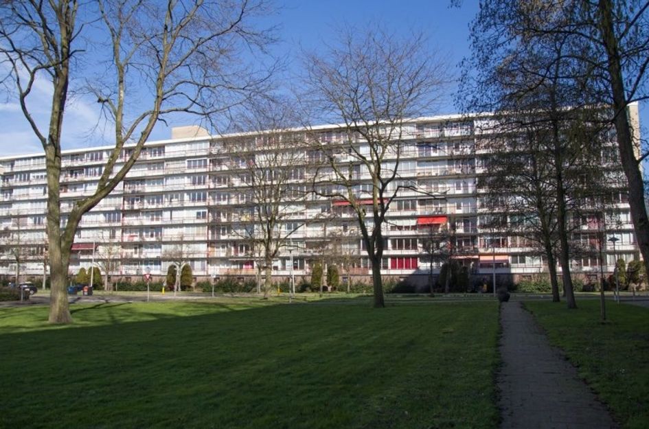 Korfoedreef 