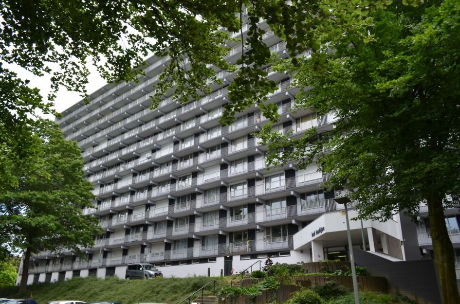 Henri Dunantstraat 341