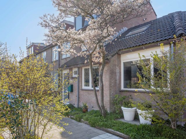 Chrysant 22, De Lier