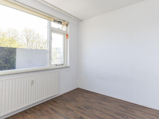 Ruigoord 258, Rotterdam