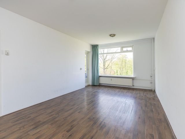 Ruigoord 258, Rotterdam