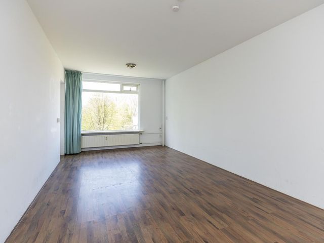 Ruigoord 258, Rotterdam