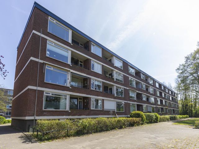 Ruigoord 258, Rotterdam
