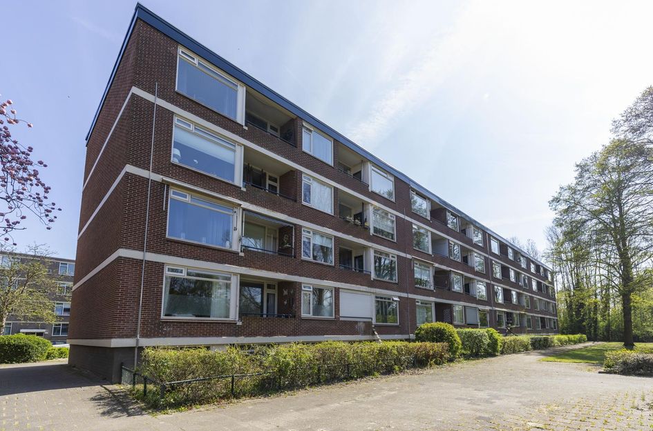 Ruigoord 258