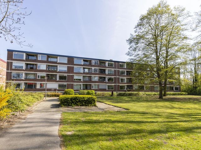 Ruigoord 258, Rotterdam