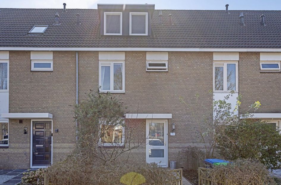Torenmolen 119