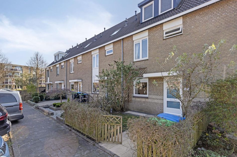 Torenmolen 119