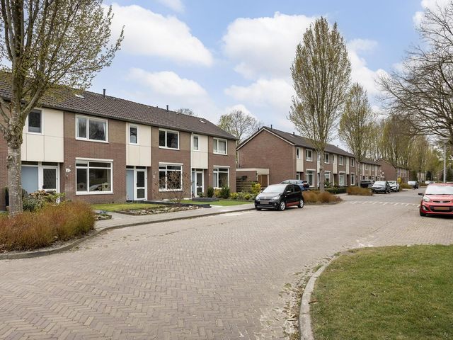 Flintenpad 67, Schoonebeek
