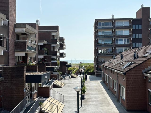 Poolster 237, Hoorn