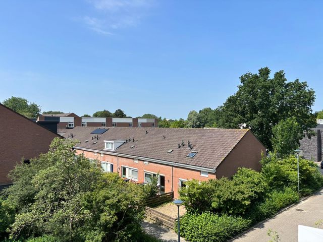 Poolster 237, Hoorn