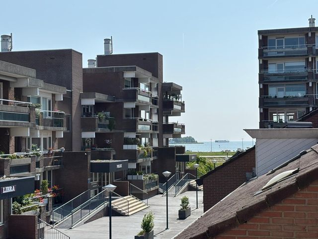 Poolster 237, Hoorn