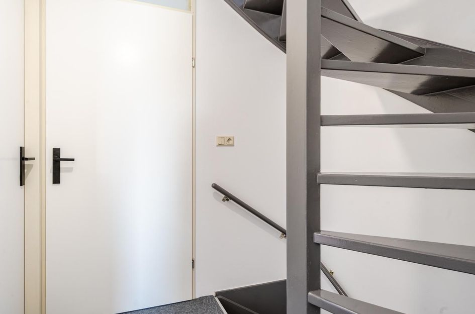 Salvador Daliplantsoen 41