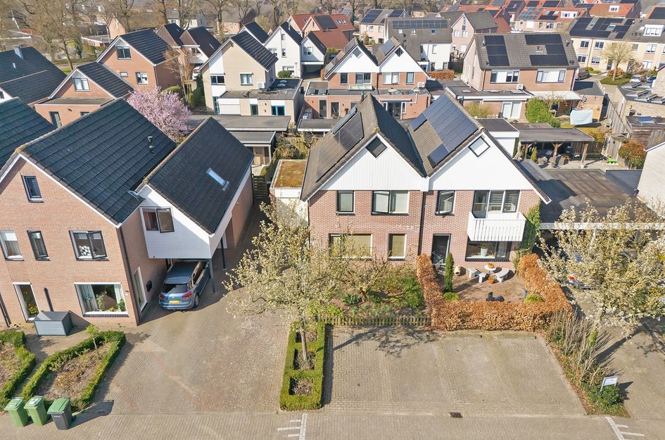 Zenegroen 12