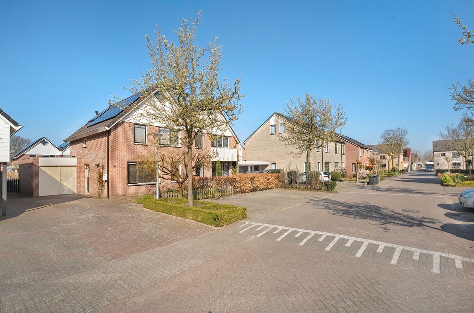 Zenegroen 12