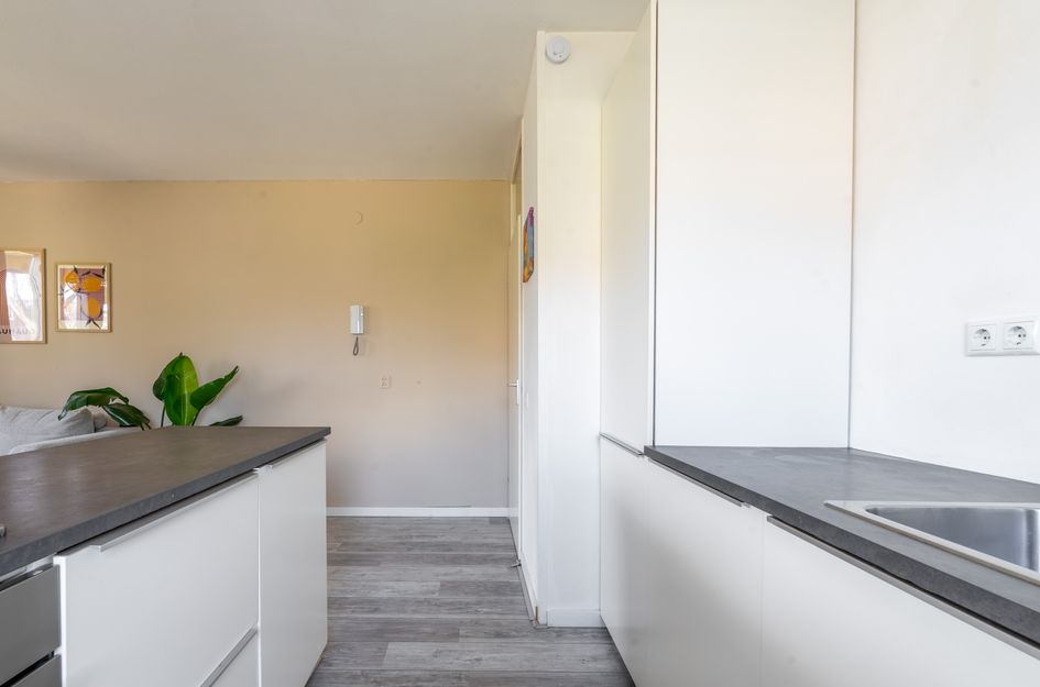 Sumatraplein 52