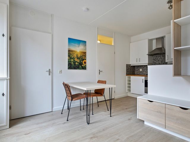 Van der Lubbehof 27B, Leiden