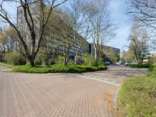 Zijldonk 165, Leiden