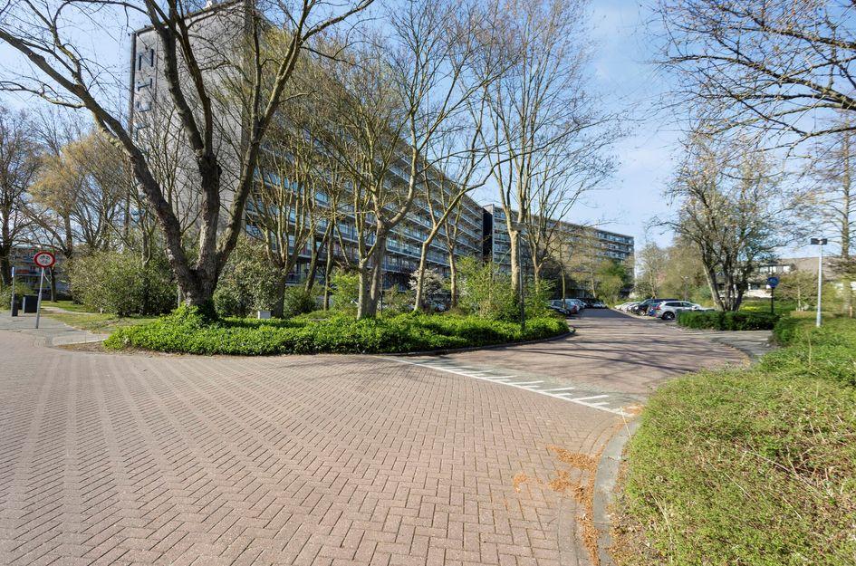 Zijldonk 165