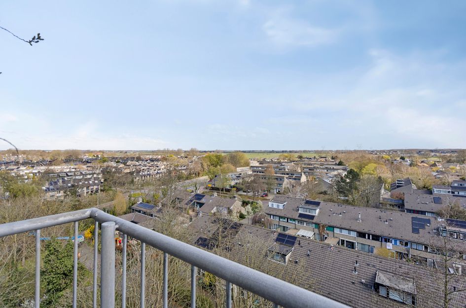 Zijldonk 165