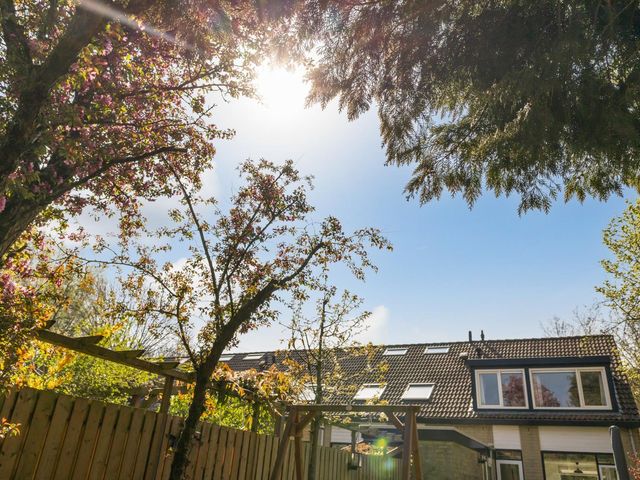 Westfalen 6, Utrecht