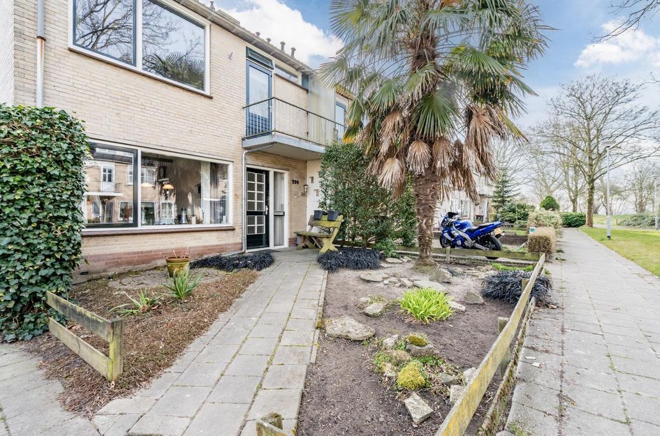 Hertog Albrechtstraat 224