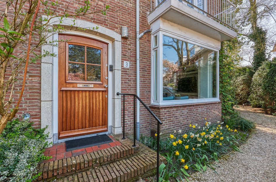 Van Boetzelaerlaan 3