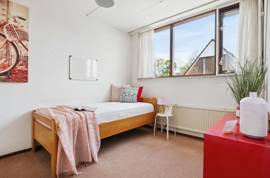 Hoogmeer 2651