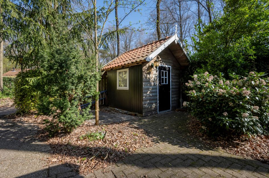 Wittebergweg 18C81