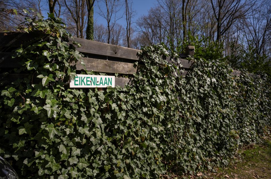 Wittebergweg 18C81