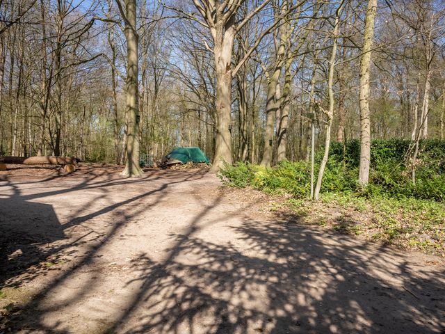 Wittebergweg 18C81, Nutter