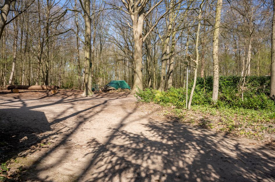 Wittebergweg 18C81