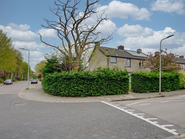 Van Oldenbarneveldtlaan 35, Rijen