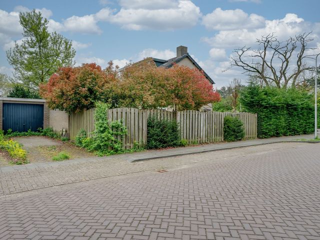 Van Oldenbarneveldtlaan 35, Rijen