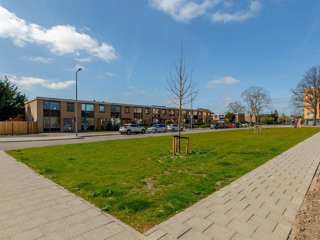Ruimersdijk 107, Rotterdam