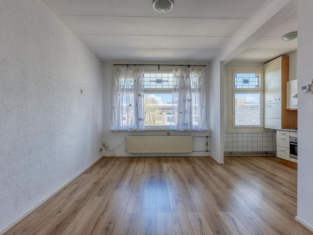 Pasteurstraat 167, Den Haag